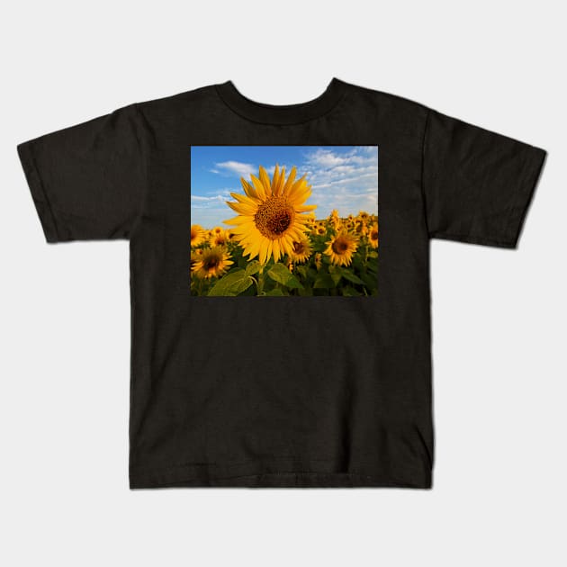 Colby Farms Sunflower Field Newbury MA Sunrise Kids T-Shirt by WayneOxfordPh